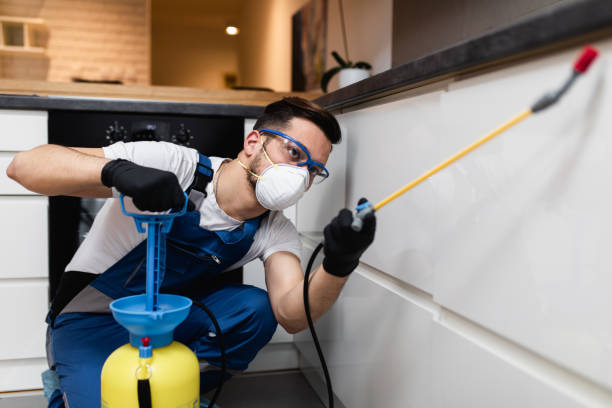 Trusted Odenville, AL Pest Control Experts