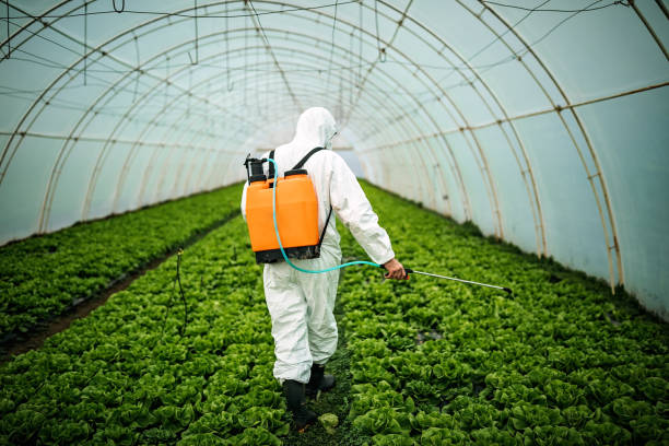 Best Best Pest Control Companies  in Odenville, AL