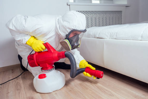 Best Best Pest Control Companies  in Odenville, AL