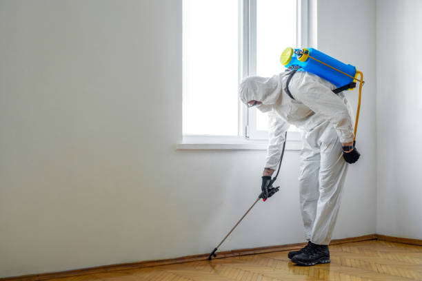 Best Local Pest Control Services  in Odenville, AL