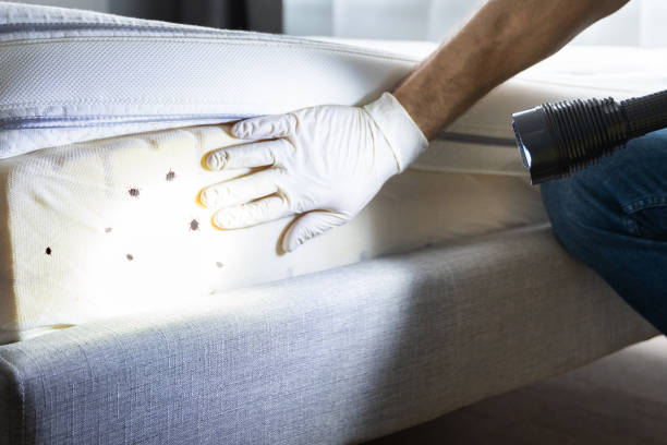 Best Pest Control Near Me  in Odenville, AL