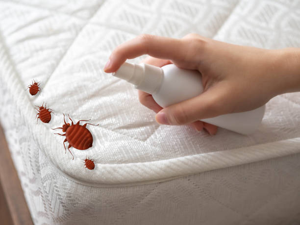 Best Termite Control Services  in Odenville, AL