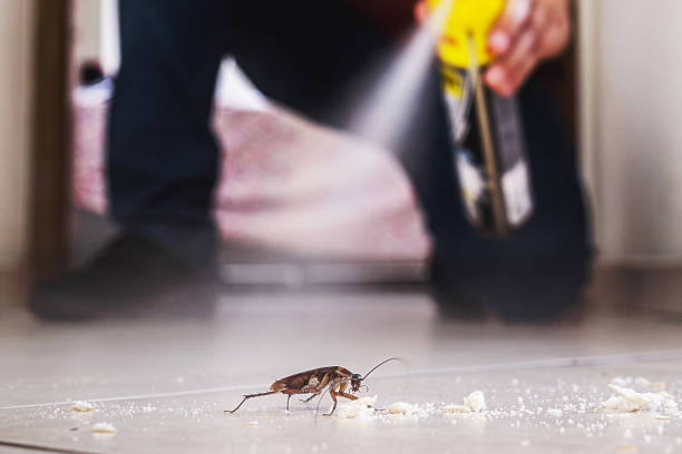 Best Pest Removal Services  in Odenville, AL