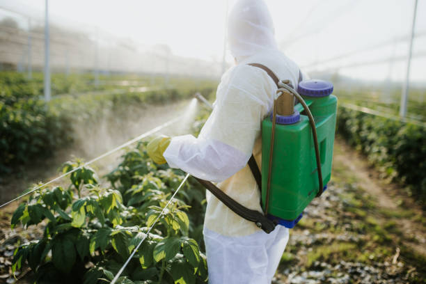 Best Bed Bug Extermination  in Odenville, AL